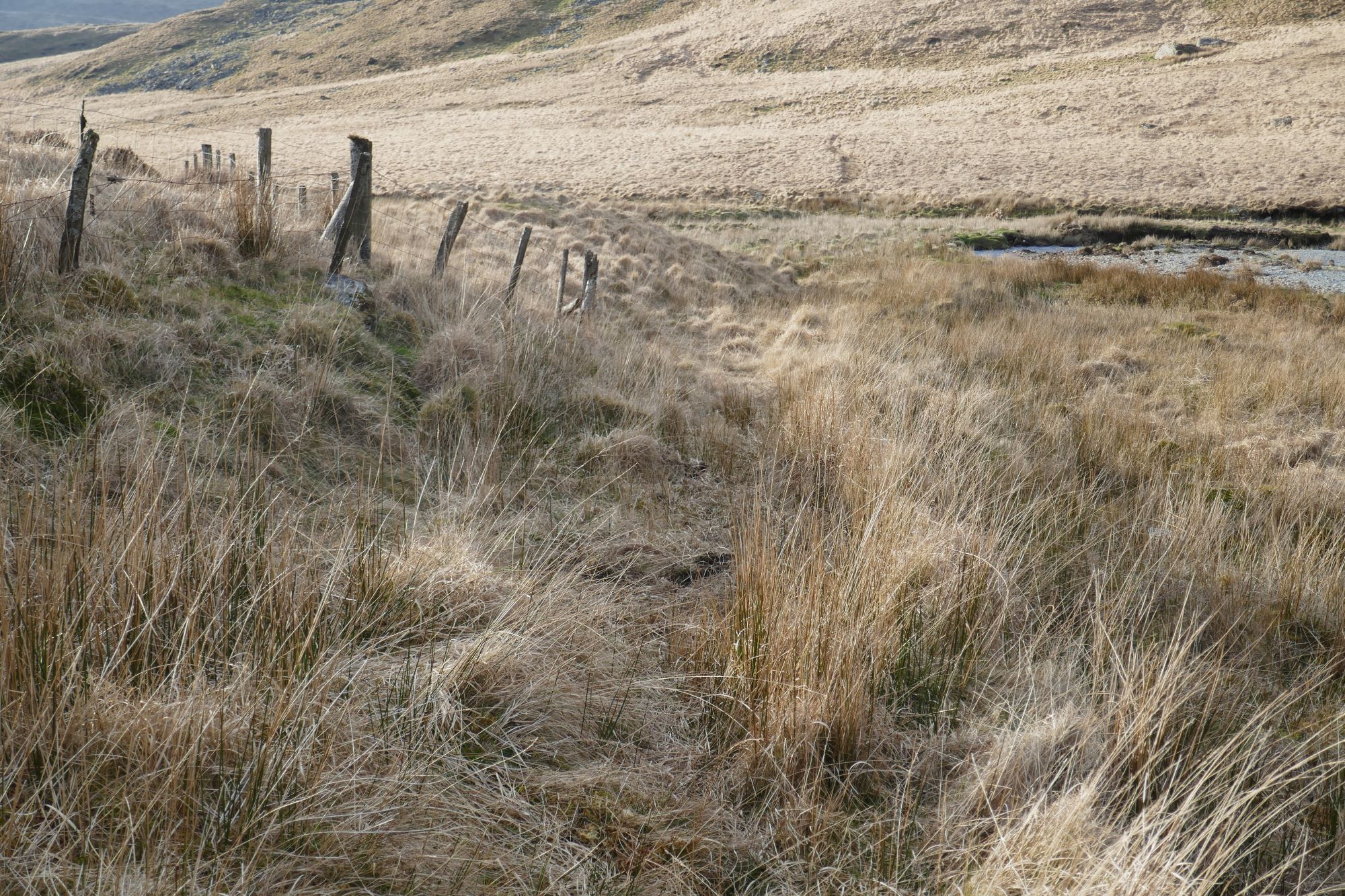 RachelSeabrook.net | Wild Walking | Cwm Gwerin | pic57